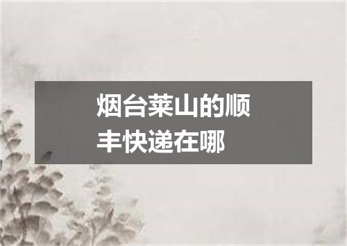 烟台莱山的顺丰快递在哪