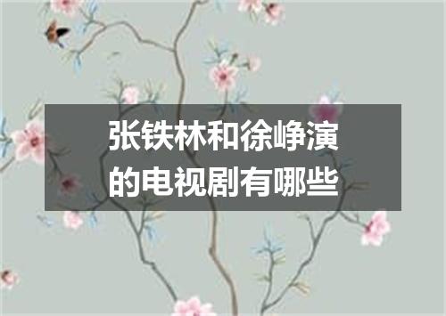 张铁林和徐峥演的电视剧有哪些