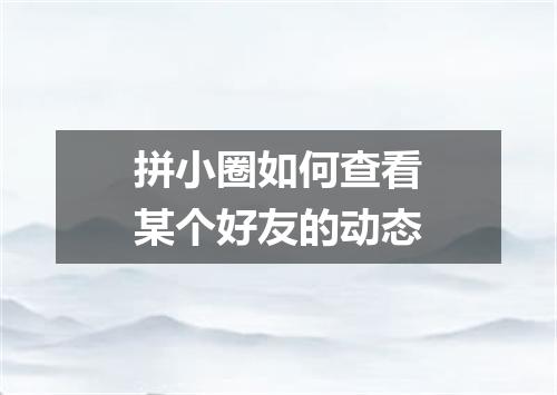 拼小圈如何查看某个好友的动态