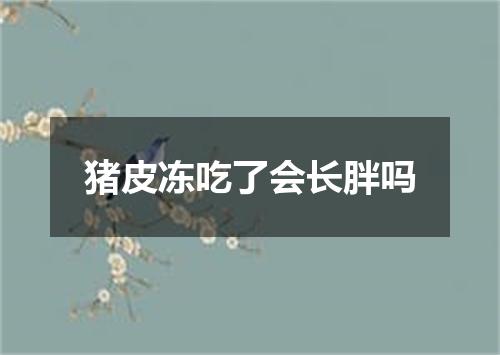 猪皮冻吃了会长胖吗