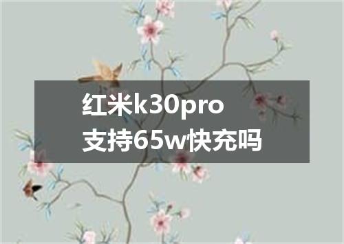 红米k30pro支持65w快充吗