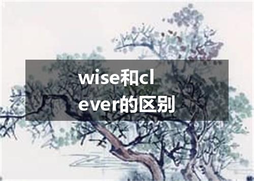 wise和clever的区别