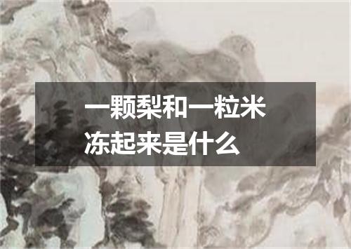 一颗梨和一粒米冻起来是什么