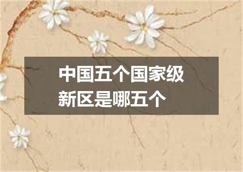 中国五个国家级新区是哪五个