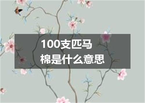 100支匹马棉是什么意思