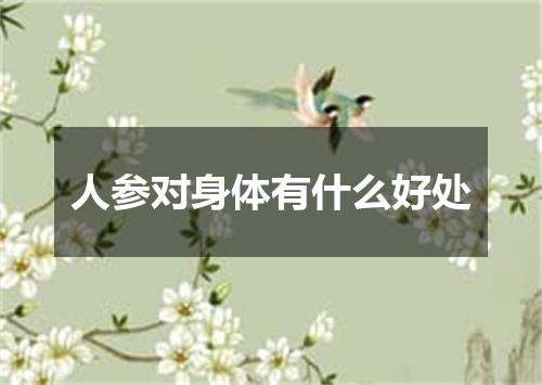 人参对身体有什么好处