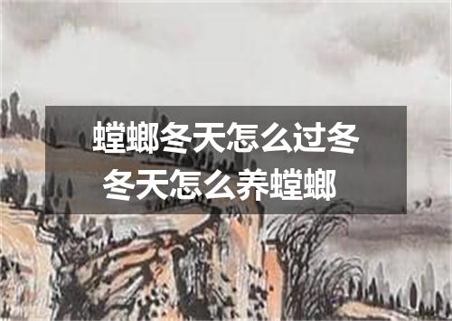 螳螂冬天怎么过冬 冬天怎么养螳螂