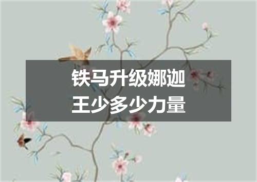 铁马升级娜迦王少多少力量