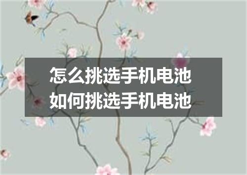 怎么挑选手机电池 如何挑选手机电池