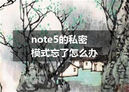 note5的私密模式忘了怎么办