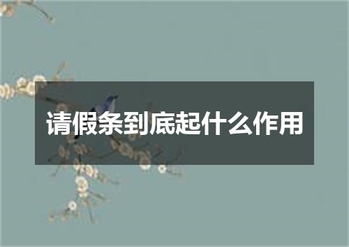 请假条到底起什么作用