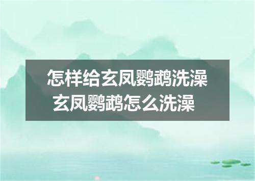 怎样给玄凤鹦鹉洗澡 玄凤鹦鹉怎么洗澡