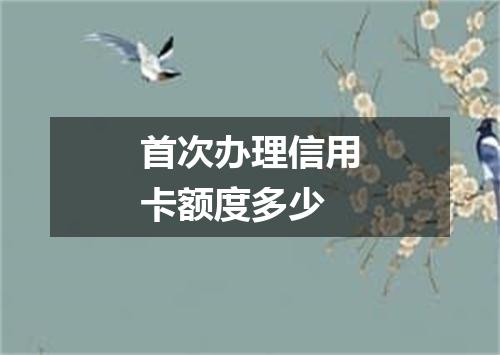首次办理信用卡额度多少