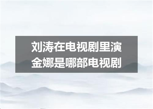 刘涛在电视剧里演金娜是哪部电视剧