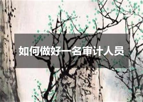 如何做好一名审计人员