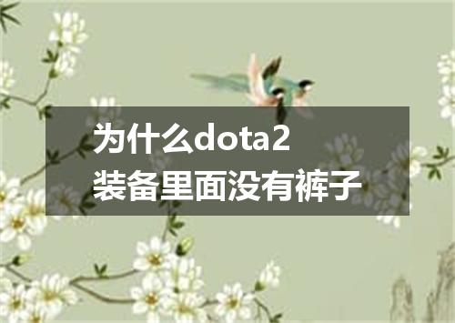 为什么dota2装备里面没有裤子