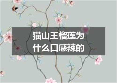 猫山王榴莲为什么口感辣的