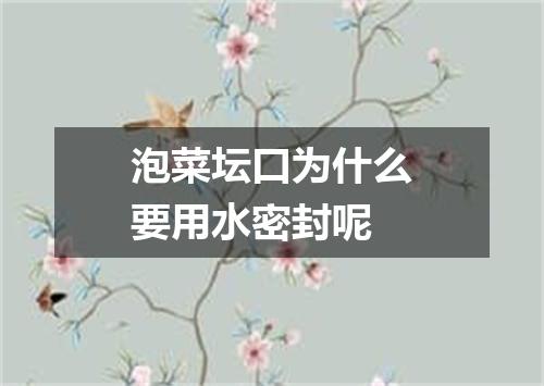 泡菜坛口为什么要用水密封呢