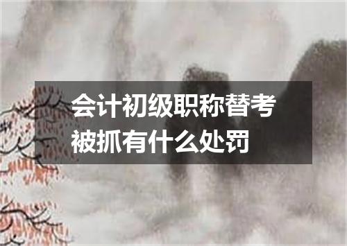 会计初级职称替考被抓有什么处罚
