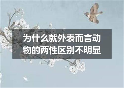 为什么就外表而言动物的两性区别不明显
