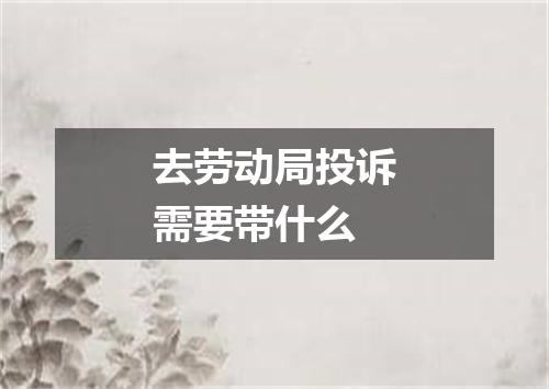 去劳动局投诉需要带什么