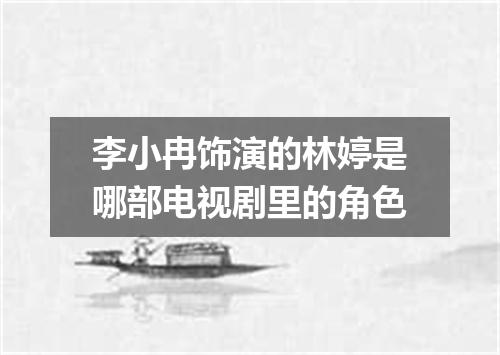 李小冉饰演的林婷是哪部电视剧里的角色