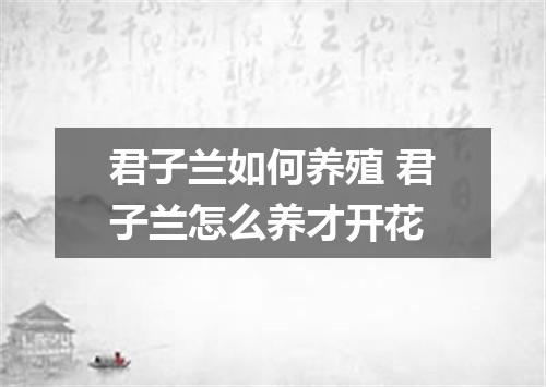 君子兰如何养殖 君子兰怎么养才开花