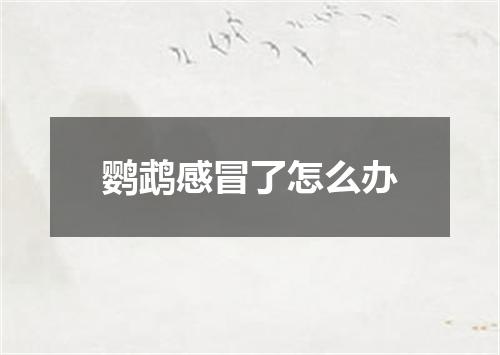 鹦鹉感冒了怎么办