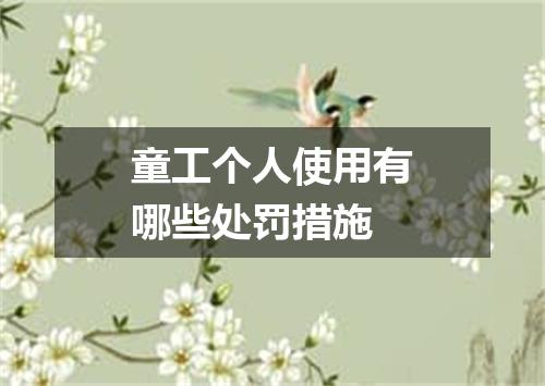 童工个人使用有哪些处罚措施