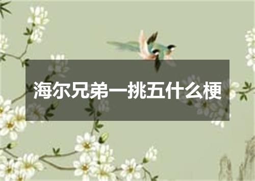 海尔兄弟一挑五什么梗