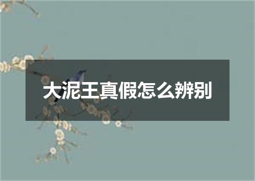 大泥王真假怎么辨别