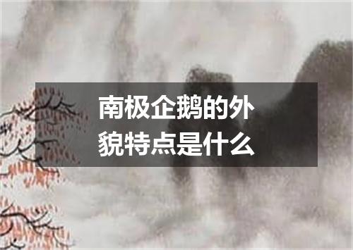 南极企鹅的外貌特点是什么