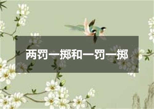 两罚一掷和一罚一掷