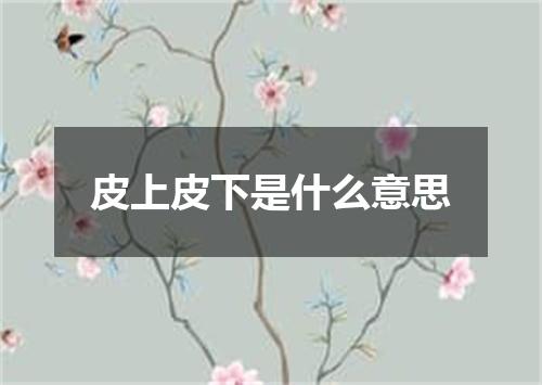 皮上皮下是什么意思