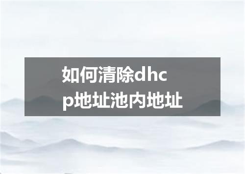 如何清除dhcp地址池内地址