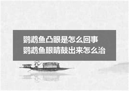 鹦鹉鱼凸眼是怎么回事 鹦鹉鱼眼睛鼓出来怎么治