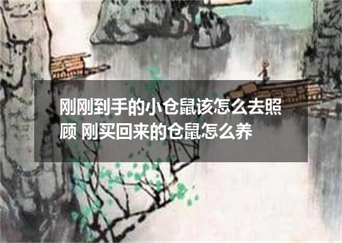 刚刚到手的小仓鼠该怎么去照顾 刚买回来的仓鼠怎么养