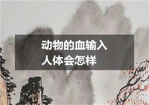动物的血输入人体会怎样