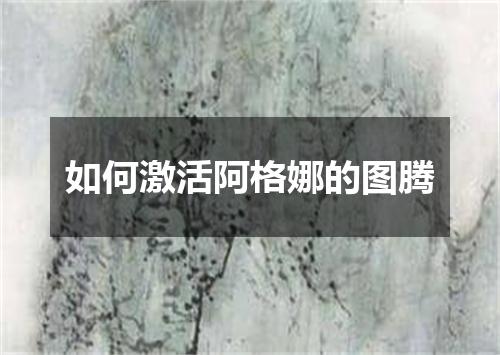 如何激活阿格娜的图腾