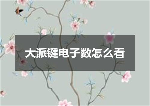 大派键电子数怎么看