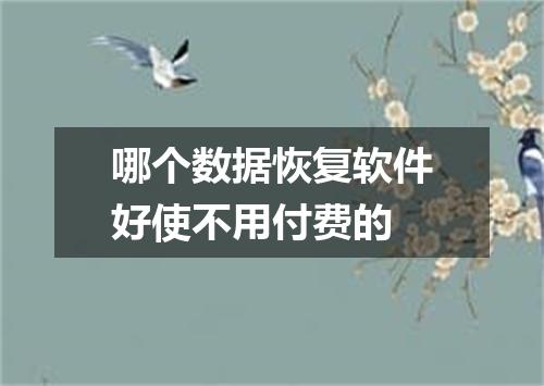 哪个数据恢复软件好使不用付费的