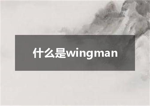 什么是wingman