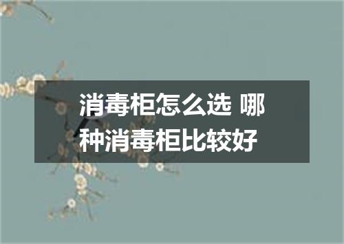 消毒柜怎么选 哪种消毒柜比较好