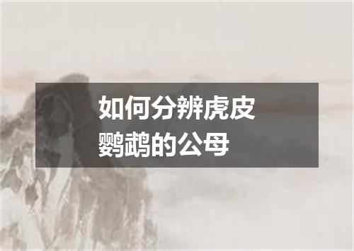 如何分辨虎皮鹦鹉的公母