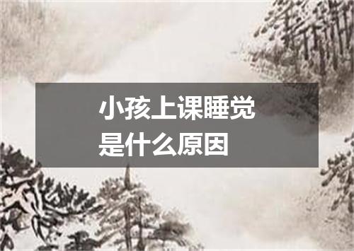 小孩上课睡觉是什么原因