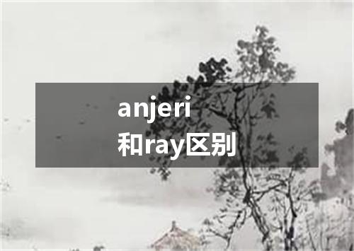 anjeri和ray区别