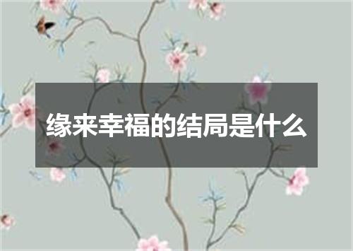 缘来幸福的结局是什么