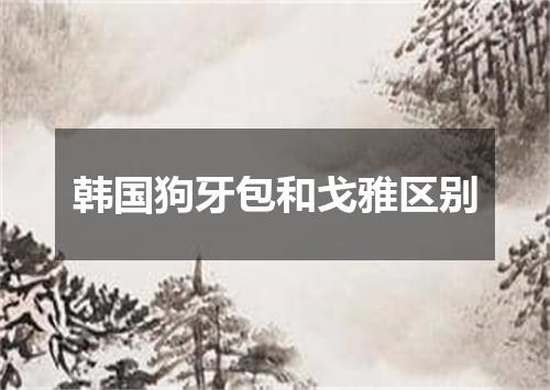 韩国狗牙包和戈雅区别