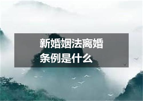 新婚姻法离婚条例是什么