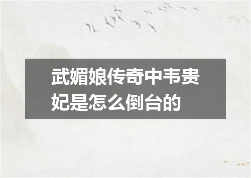 武媚娘传奇中韦贵妃是怎么倒台的